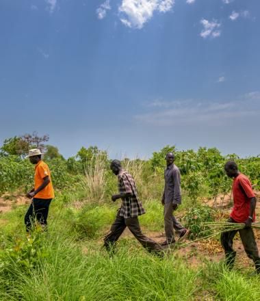 World Vision staff in field