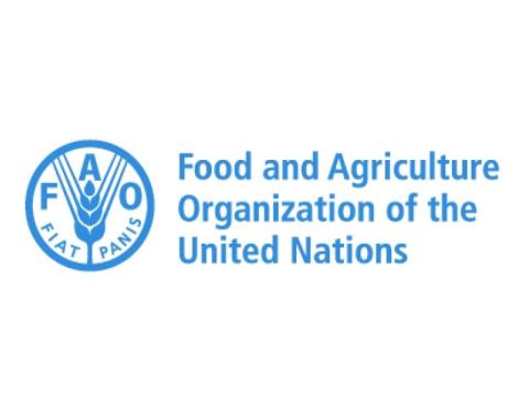 UN Food and Agriculture Organisation (FAO)