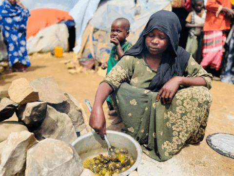 A meal is prepared in Somalia - a pot of vegetables appears in a pot.